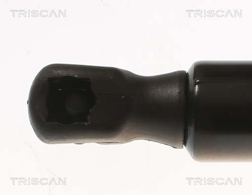 TRISCAN 8710 81204 Gasfeder, Koffer-/Laderaum