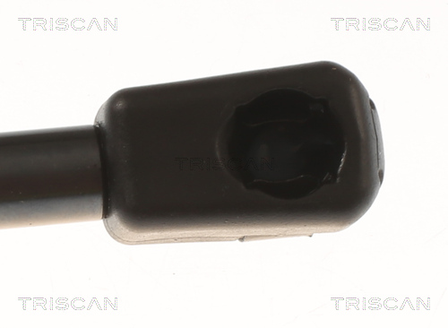 TRISCAN 8710 81204 Gasfeder, Koffer-/Laderaum