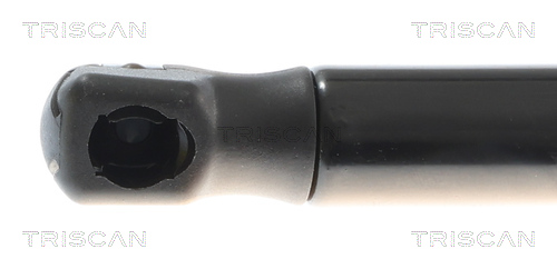 TRISCAN 8710 81208 Gasfeder, Motorhaube