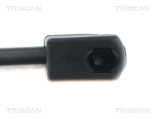 TRISCAN 8710 81208 Gasfeder, Motorhaube