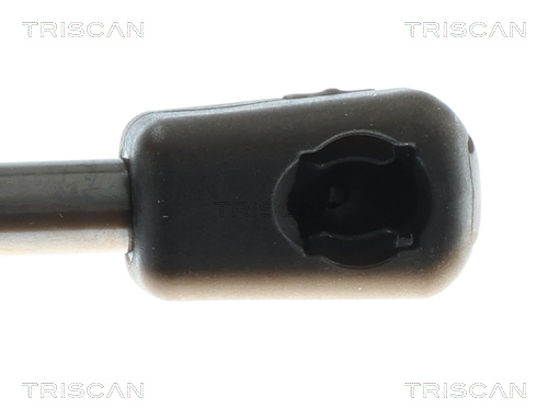 TRISCAN 8710 81210 Gasfeder, Koffer-/Laderaum