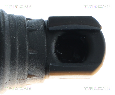 TRISCAN 8710 81212 Gasfeder, Koffer-/Laderaum