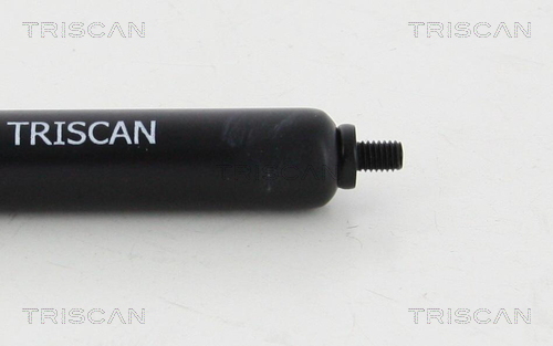 TRISCAN 8710 819367100 