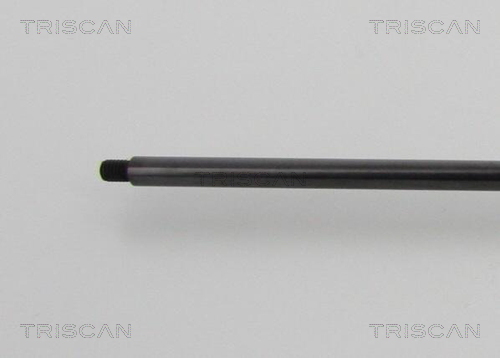 TRISCAN 8710 819407200 