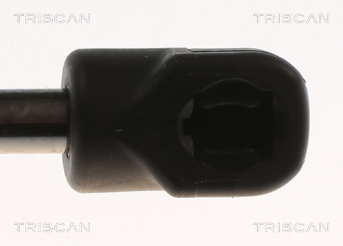 TRISCAN 8710 82001 Gasfeder, Koffer-/Laderaum