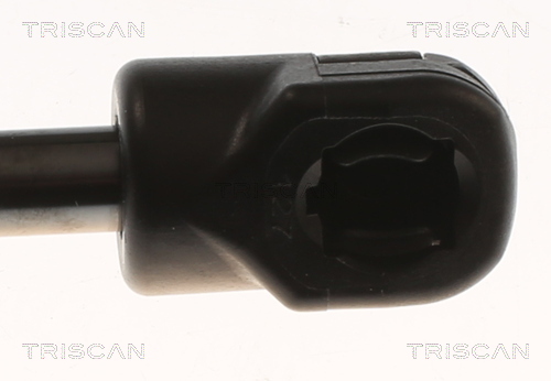 TRISCAN 8710 82002 Gasfeder, Koffer-/Laderaum