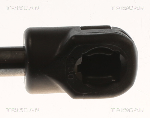TRISCAN 8710 82004 Gasfeder, Koffer-/Laderaum