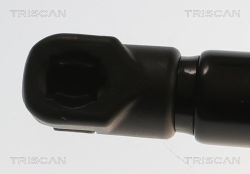 TRISCAN 8710 82005 Gasfeder, Koffer-/Laderaum