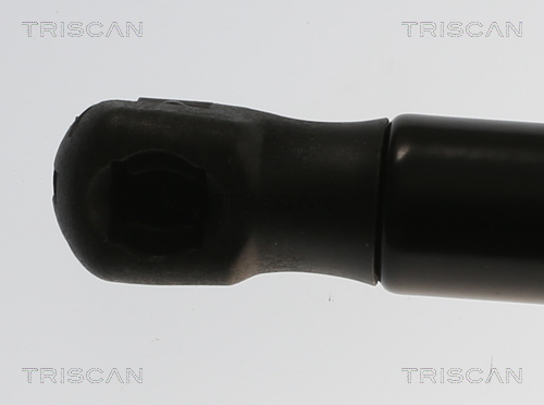 TRISCAN 8710 82011 Gasfeder, Motorhaube