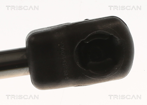 TRISCAN 8710 82012 Gasfeder, Motorhaube