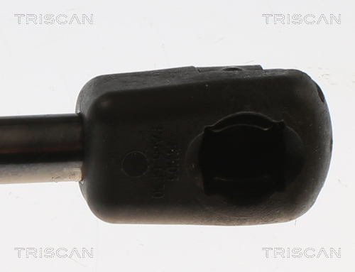 TRISCAN 8710 82013 Gasfeder, Motorhaube