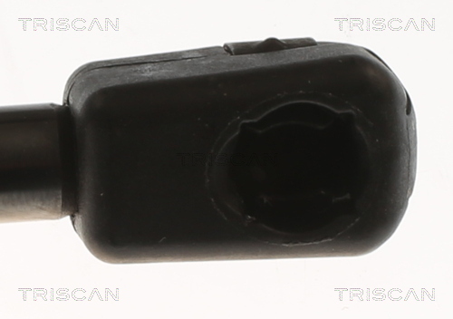 TRISCAN 8710 83001 Gasfeder, Koffer-/Laderaum
