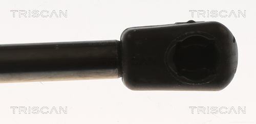 TRISCAN 8710 83002 Gasfeder, Koffer-/Laderaum