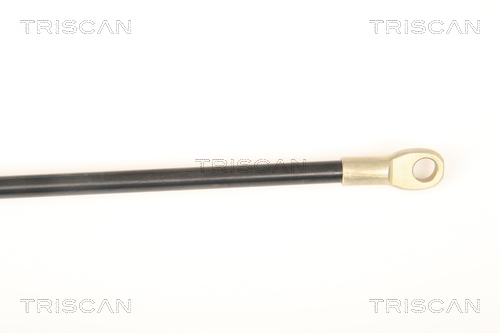 TRISCAN 8710 9009 Gasfjäder, bagageutrymme
