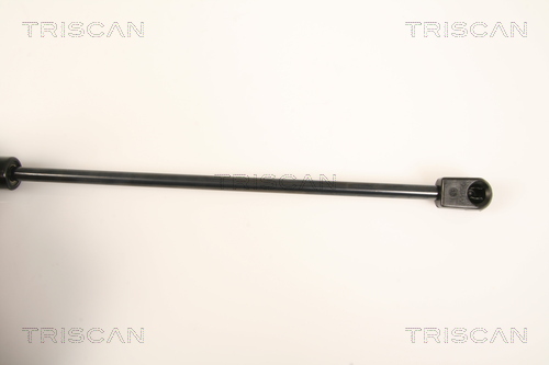 TRISCAN 8710 9019 Gasfjäder, bagageutrymme