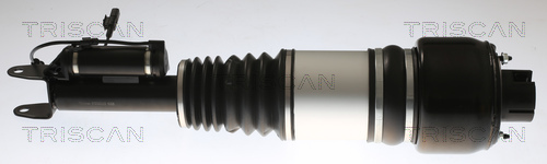 TRISCAN 8720 23103 Luftfederbein