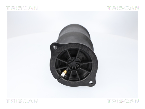 TRISCAN 8720 23210 Luftfeder, Fahrwerk