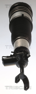 TRISCAN 8720 29103 Luftfederbein