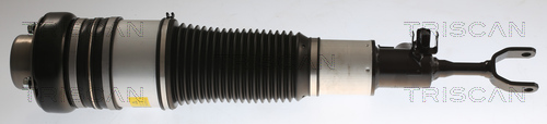 TRISCAN 8720 29104 Luftfederbein