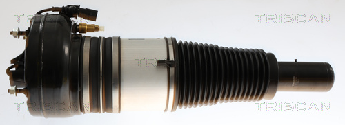 TRISCAN 8720 29105 Luftfederbein