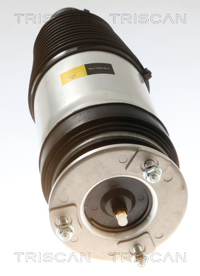 TRISCAN 8720 81102 Luftfeder, Fahrwerk