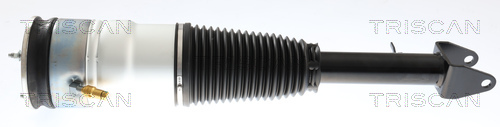 TRISCAN 8720 81105 Luftfederbein