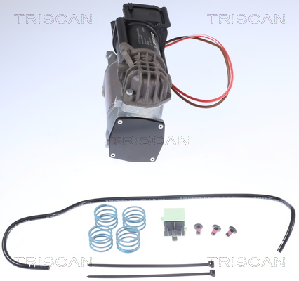 TRISCAN 8725 11101 Kompressor, Druckluftanlage