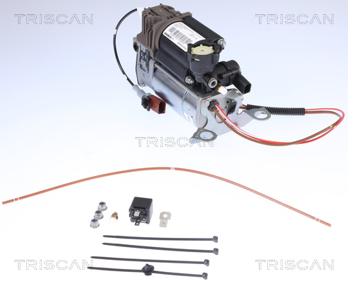 TRISCAN 8725 29101 Kompressor, Druckluftanlage