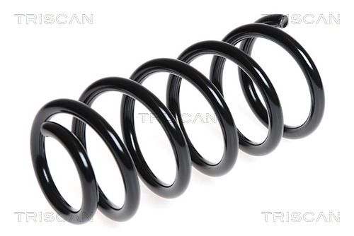Spiralfjäder bak