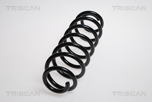 Spiralfjäder bak