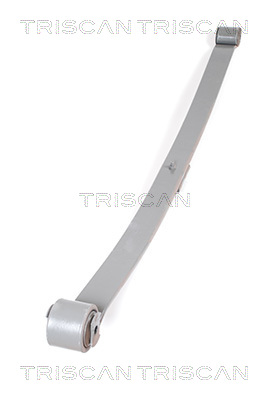 TRISCAN 8765 10002 Federnpaket