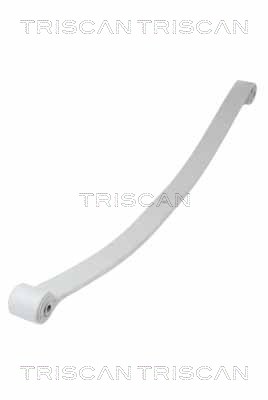 TRISCAN 8765 10010 Federnpaket