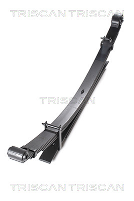 TRISCAN 8765 13022 Federnpaket
