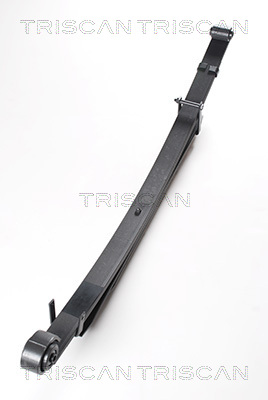 TRISCAN 8765 13024 Federnpaket