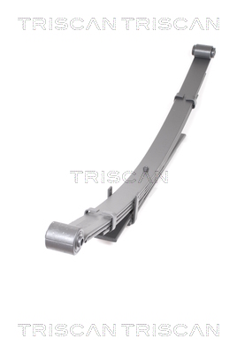 TRISCAN 8765 13025 Federnpaket