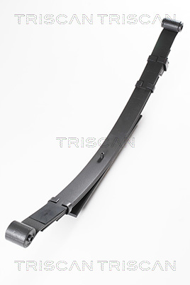 TRISCAN 8765 14004 Federnpaket