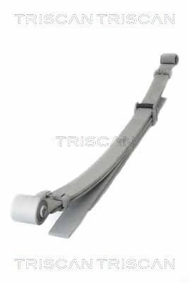 TRISCAN 8765 14015 Federnpaket