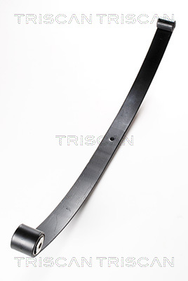 TRISCAN 8765 15001 Federnpaket