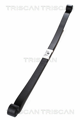 TRISCAN 8765 16012 Federnpaket