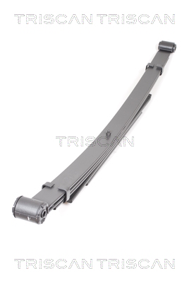 TRISCAN 8765 16023 Federnpaket