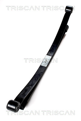 TRISCAN 8765 16024 Federnpaket