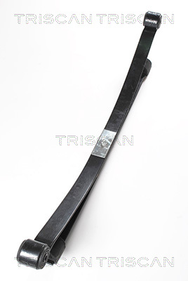 TRISCAN 8765 16026 Federnpaket