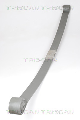 TRISCAN 8765 16034 Federnpaket