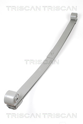 TRISCAN 8765 16035 Federnpaket