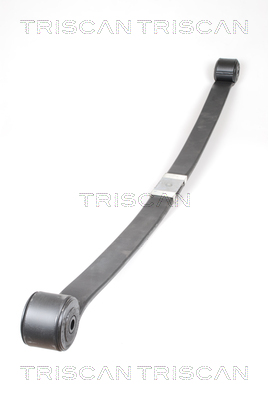 TRISCAN 8765 16039 Federnpaket