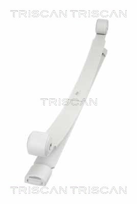 TRISCAN 8765 16041 Federnpaket