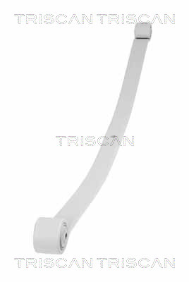 TRISCAN 8765 16044 Federnpaket
