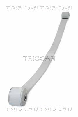 TRISCAN 8765 16045 Federnpaket