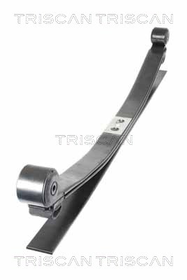TRISCAN 8765 16054 Federnpaket