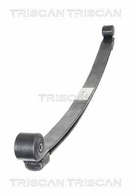 TRISCAN 8765 16056 Federnpaket